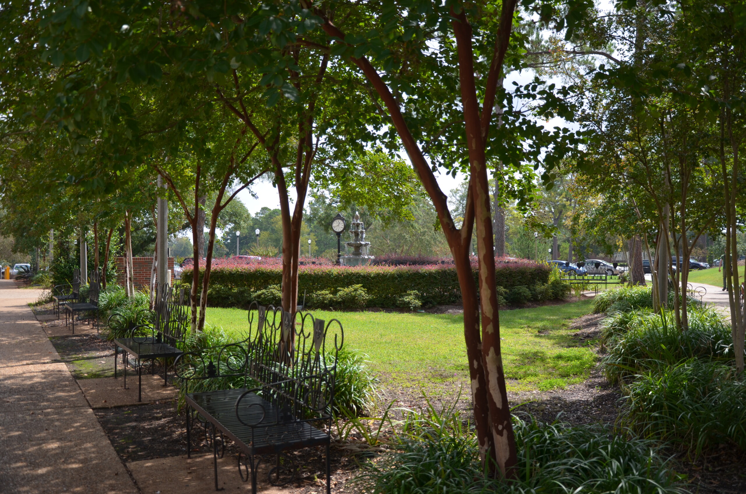 Alumni Plaza